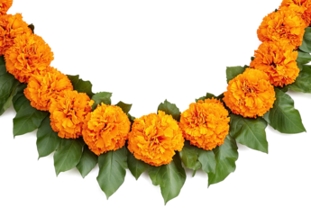 marigold flower garland for diwali decoration, isolated on a transparent background
