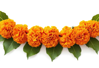 marigold flower garland for diwali decoration, isolated on a transparent background