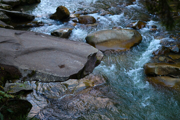 Rocky riverbank with natural stream flowing over stones in serene forest setting