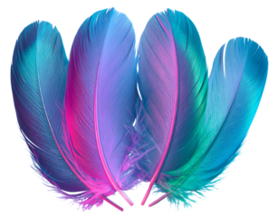  Floating Iridescent Feather Sculpture Cluster with Neon Glow Edges, Abstract Composition, Isolated PNG