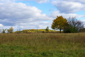 złota jesień polska - polish autumn © rob