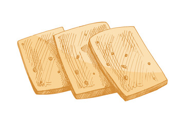 Hand drawn vintage sketch of sliced cheese in yellow color, detailed dairy food illustration, isolated vector design