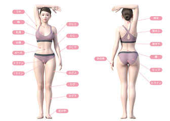 脱毛施術部位の解説イラストセット 日本人3Dモデル女性 全身正面と後ろ