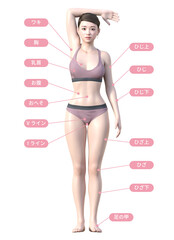 脱毛施術部位の解説イラスト 日本人3Dモデル女性 全身正面
