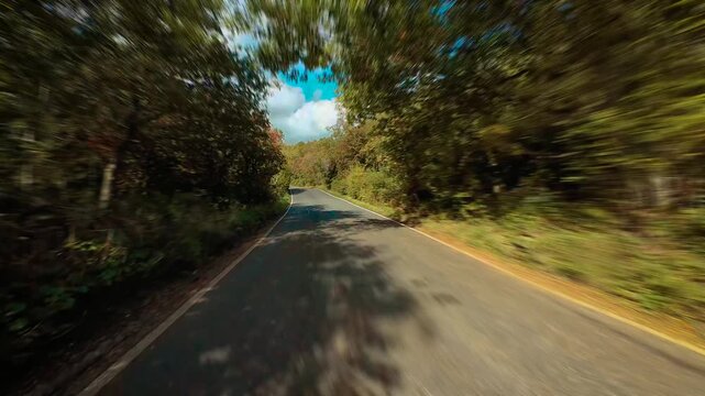 Car driving through countryside road lined with colorful trees under bright sky POV. SUV moving along scenic rural lane surrounded by autumn foliage first person view. Van cruising down peaceful