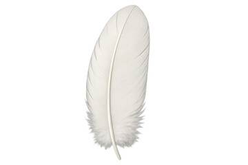 White bird feather isolated on transparent background, soft down quill for lightness and purity concepts