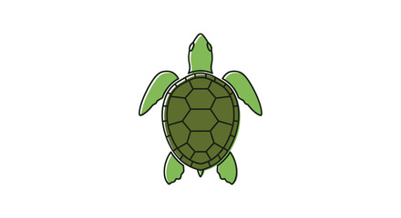 Cartoon Green Sea Turtle Illustration Top View. © Maryati