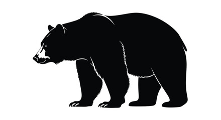 Silhouette of a large black bear walking the bear is a symbol of strength and power