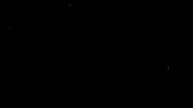 Realistic hair, dust, and lint particles move across screen on black background. Use as overlay for authentic vintage or retro look