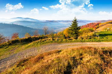 view from a mountain in to the foggy valley. beautiful autumn landscape. forested hills in fall colors. sunny morning. uzhanian national park district
