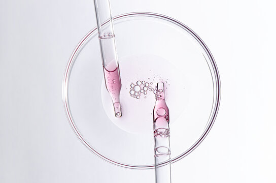 A sample of body cosmetics in a Petri dish.