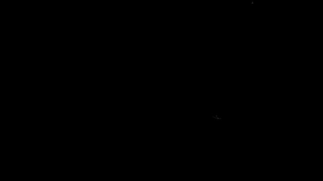 Realistic hair, dust, and lint particles move across screen on black background. Use as overlay for authentic vintage or retro film look