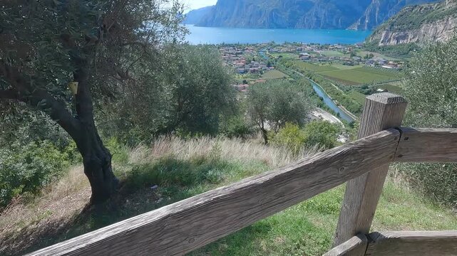 Point of view shot overlooking Garda Lake and Torbole village from a scenic hillside path surrounded by olive trees in Trentino Italy