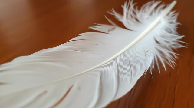 Close-up view of a white feather on a wood surface, capturing intricate detail