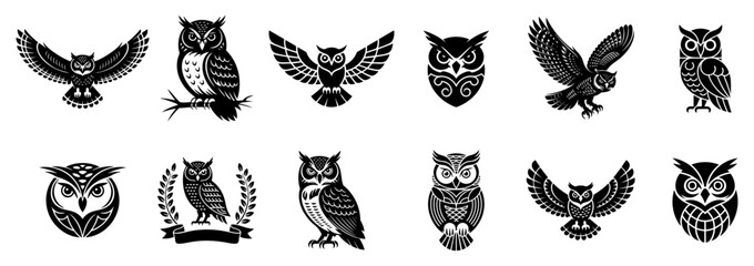 set of owl vector illustrations black and white, nature and wildlife concepts