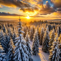 Golden sunrise over snow covered pine forest landscape