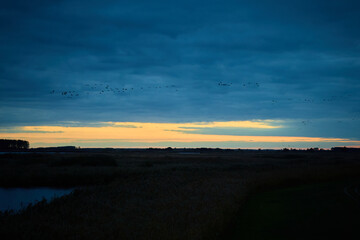 Obraz premium Sunset at area of Hortobagy location of nature sanctuary in Hungary, Europe