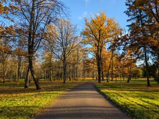 A path in an autumn park on a bright sunny day