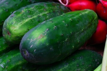 Fresh vegetables radish cucumber tomatoes