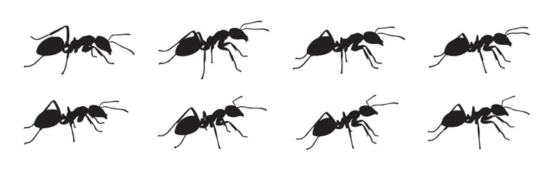 Ant silhouette icons set. Black ant vectors in various ants, insect symbol.