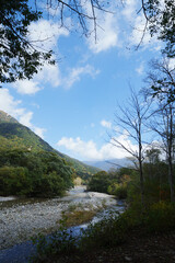 上高地の大正池