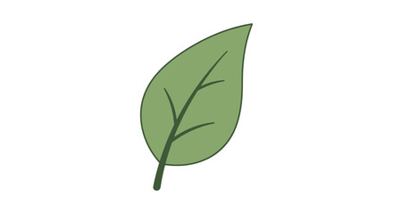 Simple green leaf illustration with visible veins.