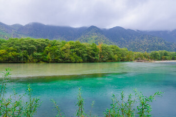 上高地の大正池