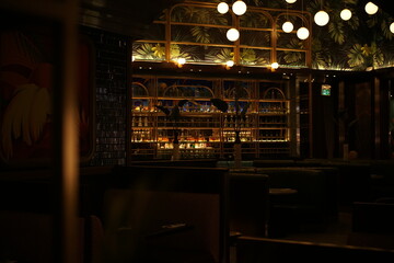 Mystical Bar Ambiance: The dimly lit interior with unique architecture, evoking a sense of sophistication and refined taste, is shown. It sets a luxurious and relaxed atmosphere.