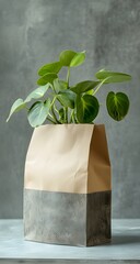 Minimalist plant in paper bag 