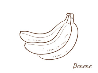 バナナの手描きベクターイラスト