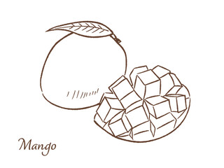 マンゴーの手描きベクターイラスト