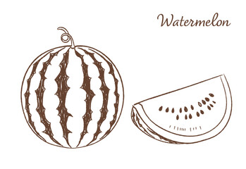 スイカの手描きベクターイラスト

