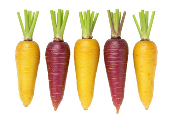 Five colorful carrots PNG isolated on transparent background, yellow and purple root vegetables for healthy eating and vegetarian diet