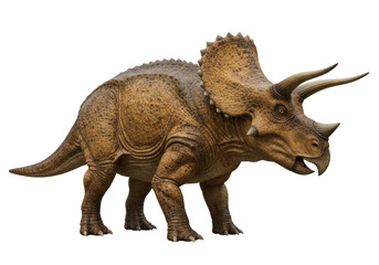 Isolated Triceratops dinosaur from the Cretaceous period in a side view, on no background © Ari