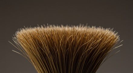 Close-up of a broom bristle head on dark background  