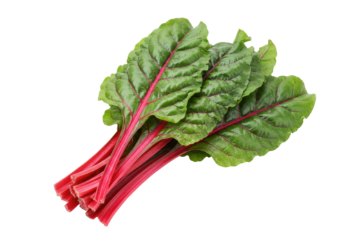 Fresh red chard isolated PNG on transparent background, vibrant leafy greens with colorful stems for healthy eating and cooking