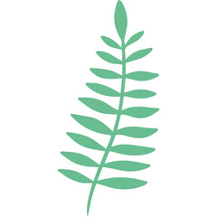 Abstract Green Fern Leaf Illustration Minimalist Botanical Design Delicate Plant Stem with Multiple Small Leaves Vector Graphic Isolated on Transparent Background