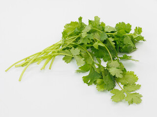 Fresh Cilantro Bunch on White Surface for Cooking, Grocery, Health, Cuisine, and Everyday Meal Use