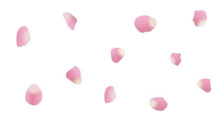 Soft pink flower petals scattered on white background creating romantic design