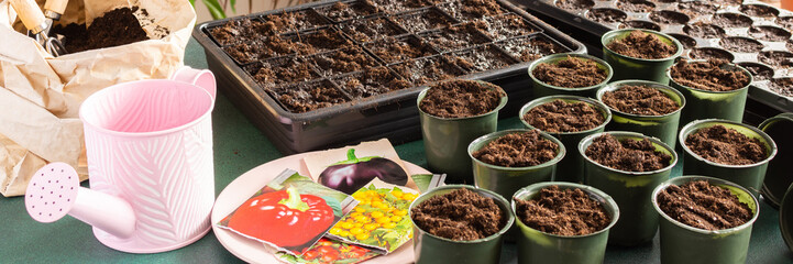 This setting features a range of small pots filled with soil, planning trays, and gardening tools as tomato seeds are carefully planted indoors in preparation for spring growth, banner
