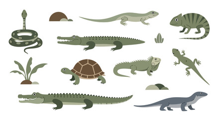 Flat Vector Reptile Collection with Crocodile, Snake, Lizard, Turtle and Chameleon Illustration