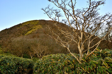 天子山地の竜ヶ岳　笹原の道が続く朝の石仏見晴台
