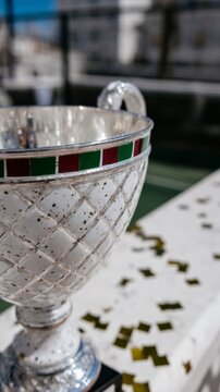 Silver trophy sparkles in sunlit victory, echoing triumph over resilience, reminiscent of obscure European festival Fete de la Gloire