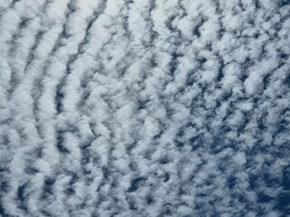 Pattern of soft white altocumulus clouds covering a bright blue daytime sky