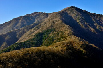 天子山地の竜ヶ岳から眺める晩秋のタカデッキと雨ヶ岳
