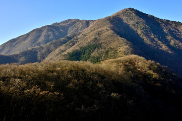 天子山地の竜ヶ岳から眺める晩秋のタカデッキと雨ヶ岳
