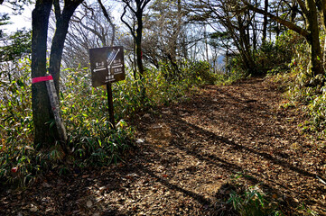 天子山地の端足峠（はしたとうげ）　雨ヶ岳と竜ヶ岳との鞍部
