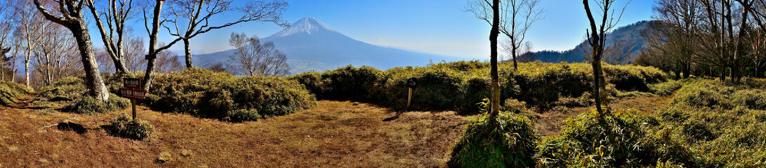 天子山地の雨ヶ岳山頂より富士山を望むパノラマ
