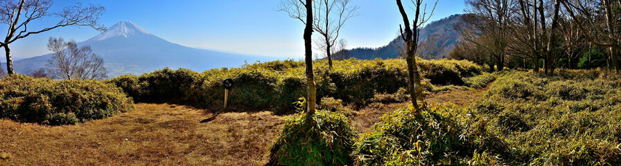 天子山地の雨ヶ岳山頂より富士山を望むパノラマ
