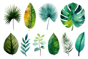 Fototapeta premium Hojas Acuarela. Pack de Elementos Florales en Acuarela de Naturaleza: Hojas, Ramas y Ãrboles Aislados